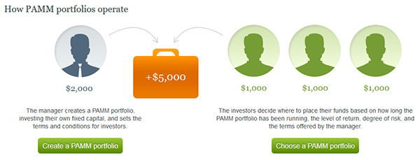 Investments in Forex and PAMM Accounts