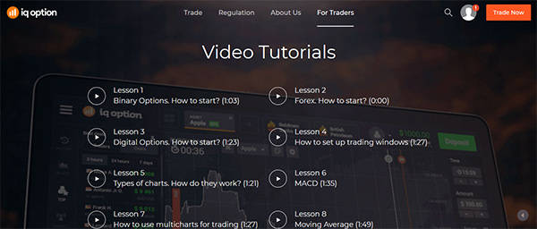 Forex trading using iq option